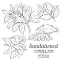 Sandalwood vector set