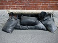 Sandbags Royalty Free Stock Photo