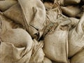 Among the sandbags