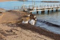 Sandbags Beach Protection Royalty Free Stock Photo