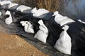 Sandbags flood protection covered with black nylon