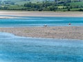 A sandbank at low tide on a spring day. The sea water is a beautiful turquoise color. Sea coast, landscape