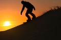 sandboarder silhouetted against sunset, atop a dune