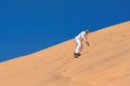 Sandboarding Royalty Free Stock Photo