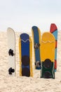 Sandboards Royalty Free Stock Photo