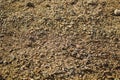 Seamless texture sand children sandbox Royalty Free Stock Photo