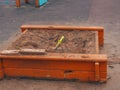 Sandbox with toys in the playground in the spring