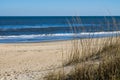 Sandbridge Beach in Virginia Beach, Virginia with Beach Grass