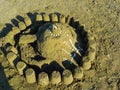 a sandcastle with shells on the beach Royalty Free Stock Photo