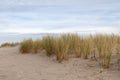 Sanddunes at Warnemuende Rostock beach Royalty Free Stock Photo