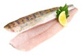 Sander - Pikeperch Fish Fillet Royalty Free Stock Photo