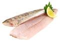 Sander - Pike Perch Fish Fillet Royalty Free Stock Photo
