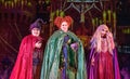 Sanderson sisters characters from the Hocus Pocus stage show