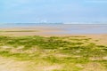 Sandflat landscape of nature reserve near Maasvlakte and Rotterd Royalty Free Stock Photo