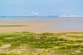 Sandflat landscape of nature reserve near Maasvlakte and Rotterd Royalty Free Stock Photo