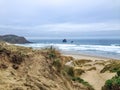Sandfly Bay during cloudy winter weather, near Dunedin, Otago Peninsula, South Island, New Zealand