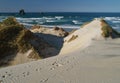 Sandfly bay Royalty Free Stock Photo