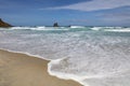 Sandfly Bay on Otago Peninsula. New Zealand