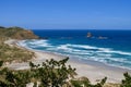 SANDFLY BEACH AND OCEAN WAVES VIEW ON THE OTAGO PENINSULA