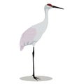 Sandhill crane cartoon Royalty Free Stock Photo