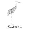 Sandhill crane outline vector coloring