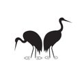 Sandhill Crane silhouettes, vector. Minimalist poster design. Two birds silhouettes illustration isolated on white background