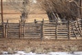 Sandhill Cranes Along Yampa River