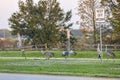 Sandhill Cranes Having Fun In The Median