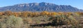 Sandia Peak mountain Royalty Free Stock Photo