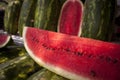 Sandia watermelon