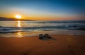 Sandles on the beach summertime sunrise