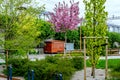 Sandnes City Park Open Space Play Area And Skate Park Colourful Trees And Plants