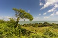 Sandown Bay from Luccombe, Isle of Wight, England Royalty Free Stock Photo