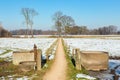 Sandpath and water well in snowy dutch landscape