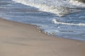 Sandpipers running away from the waves as they crash