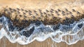 Sandpipers shift in perfect harmony, creating hypnotic shoreline patterns. Royalty Free Stock Photo