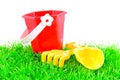 Sandpit toys on green grass Royalty Free Stock Photo