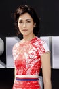 Sandrine Holt Royalty Free Stock Photo