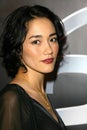 Sandrine Holt Royalty Free Stock Photo