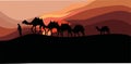 Sands and camels. Desert sunset