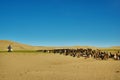 Sands Mongol Els Royalty Free Stock Photo