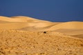 Sands of the Sahara Royalty Free Stock Photo