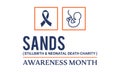 SANDS Stillbirth and neonatal death charity Awareness Month Concept Observed on Every June. background, Banner, Poster, Card