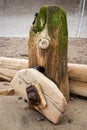 Sandsend Groynes - Groyne - Sandsend - North Yorkshire - UK Royalty Free Stock Photo