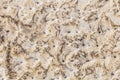 Sandstone background pavement in Jerusalem Royalty Free Stock Photo