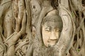 Sandstone Buddha Image`s Head Trapped in the Tree Roots at Wat Mahathat Ancient Temple, UNESCO World Heritage Site in Ayutthaya Royalty Free Stock Photo