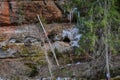 Sandstone cliff pattern with orange clay rock and green trees in the foreground. Water icicles are frozen in the rock