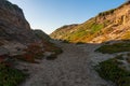 The Sandstone Cliffs at Fort Ord Dunes State Park