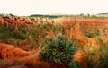 Sandstone cliffs Gesergio Royalty Free Stock Photo