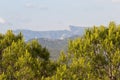 Sandstone cliffs and green forest of Cap Canaille, Falaises Soubeyranes, Southern France